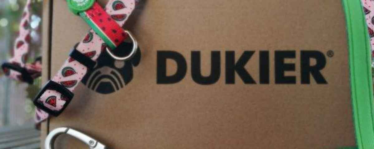 Dukies Dukier 1 1200x480