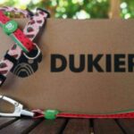 Dukies Dukier 1 150x150