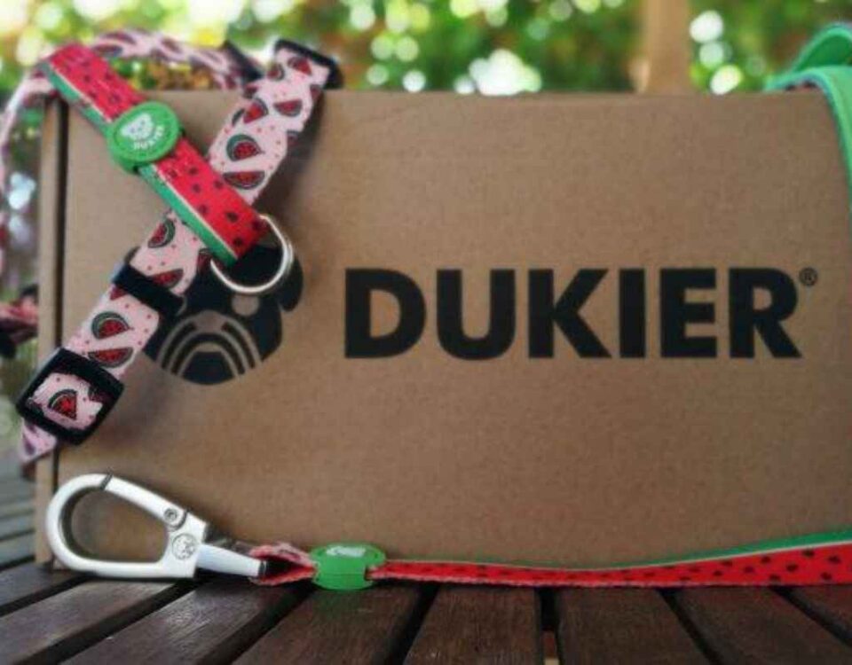 Dukier 1 960x750
