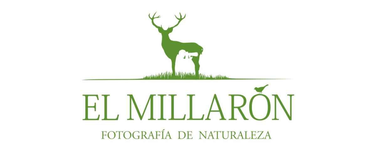 El Millaron 1200x480