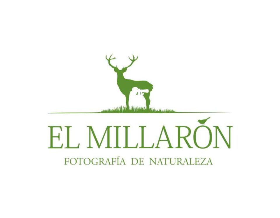 El Millaron 960x750